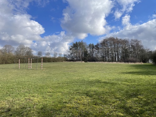 Græsplæne med træer i baggrunden blå himmel