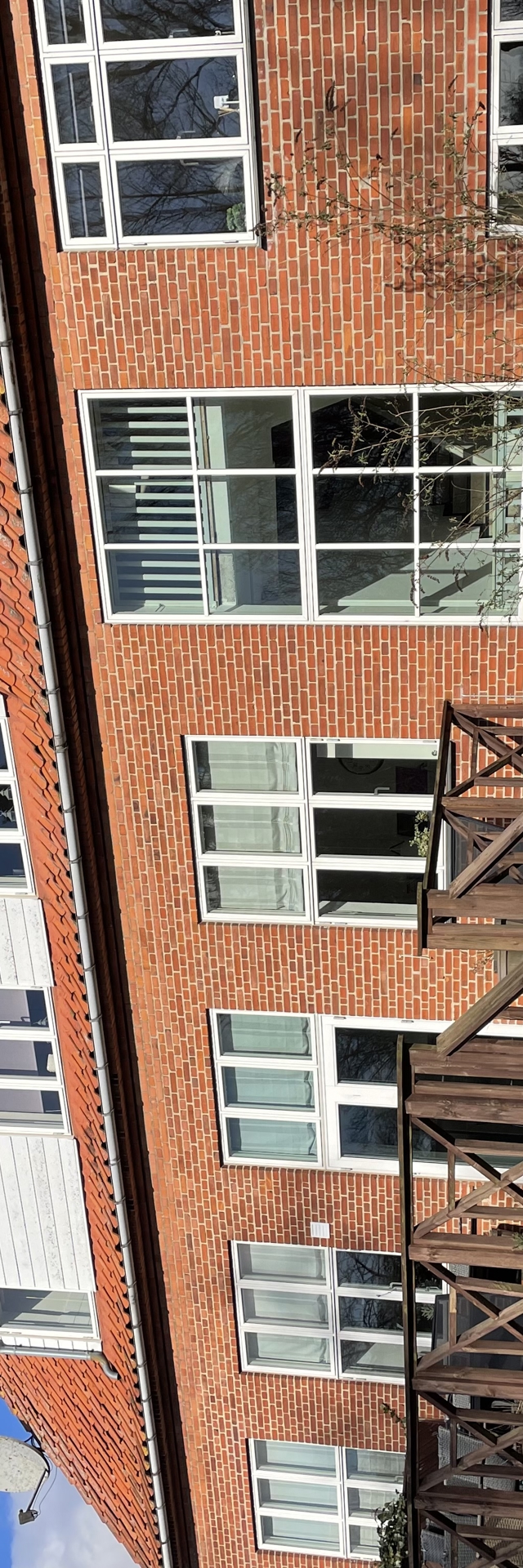 Græsplæne med bygning og terrasse Græsplæne med bygning og terrasse